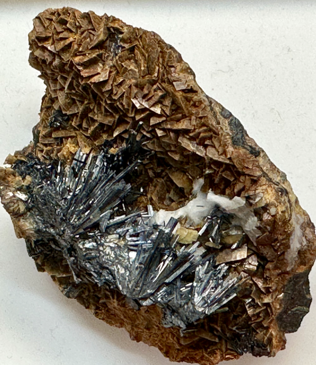 Capture d’écran 2023-09-30 à 11.00.54.png