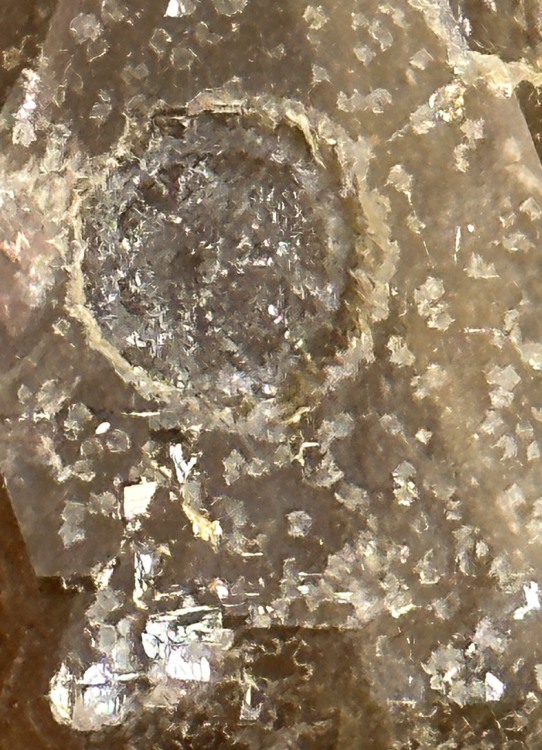 Capture d’écran 2023-10-05 à 20.12.57.png