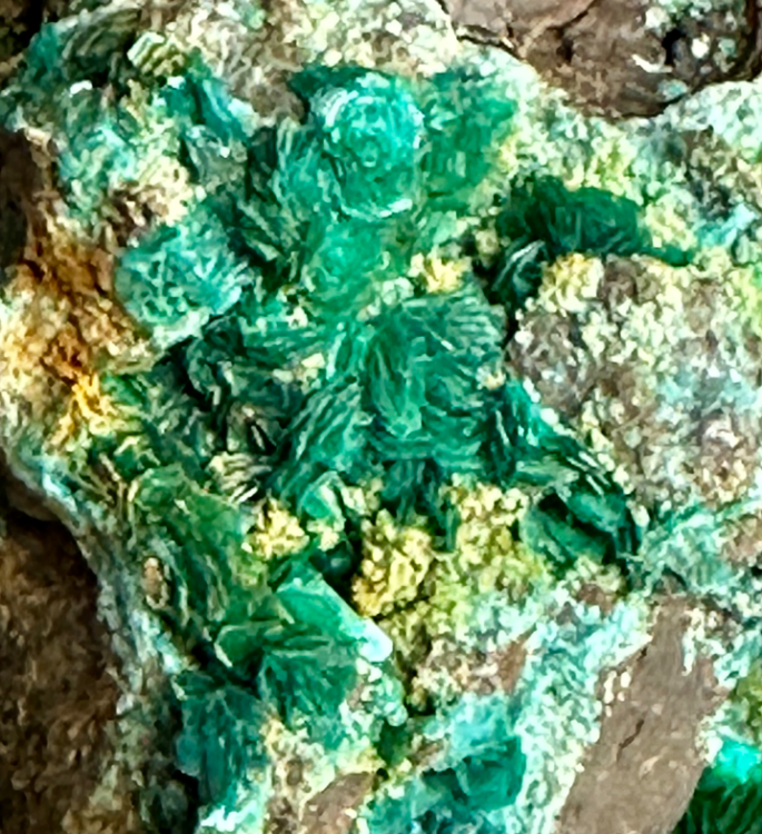 Capture d’écran 2023-10-06 à 21.49.01.png