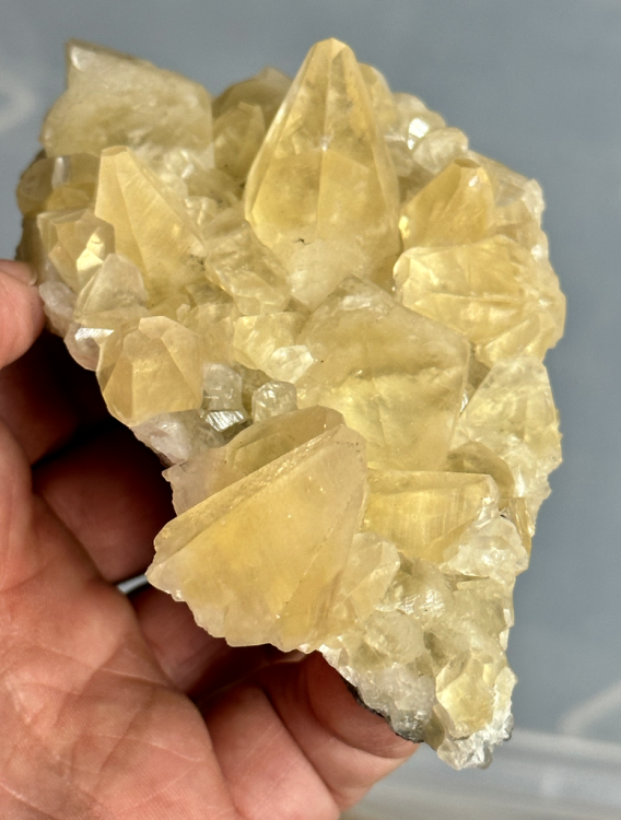 Capture d’écran 2023-10-10 à 23.25.04.png