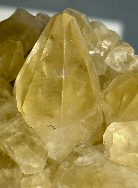 Capture d’écran 2023-10-10 à 23.25.16.png