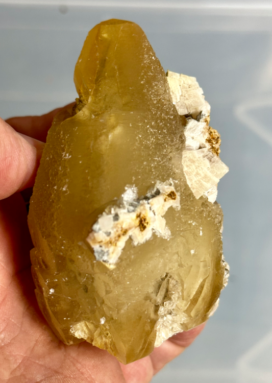 Capture d’écran 2023-10-11 à 23.03.27.png