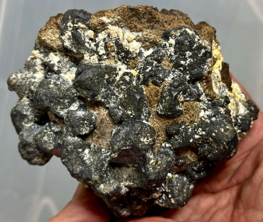 Capture d’écran 2023-10-11 à 23.07.14.png