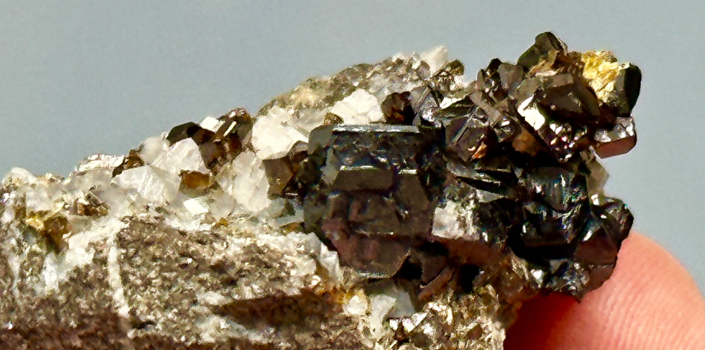 Capture d’écran 2023-10-11 à 23.07.43.png