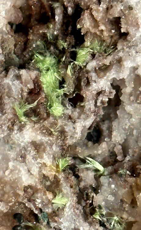 Capture d’écran 2023-10-11 à 23.12.06.png