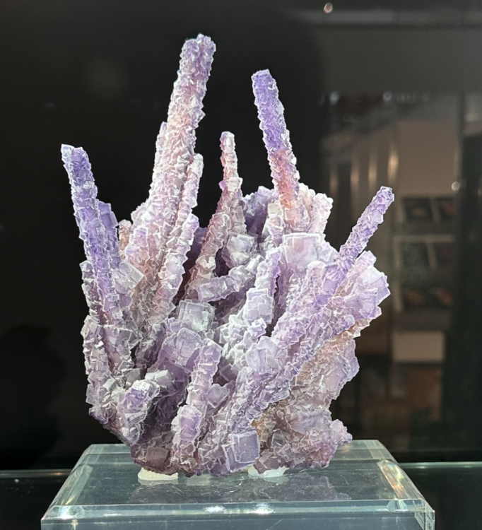 Capture d’écran 2023-10-26 à 07.41.52.png