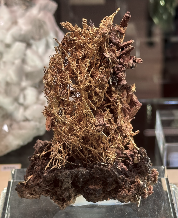 Capture d’écran 2023-10-26 à 07.42.57.png