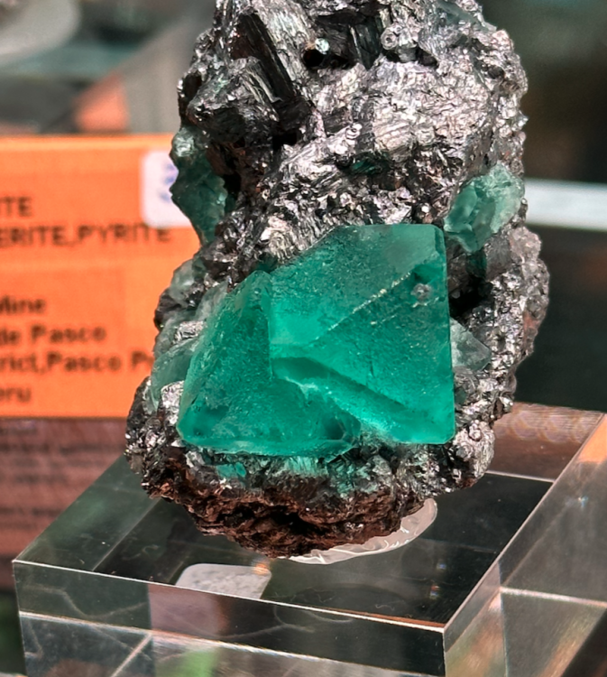 Capture d’écran 2023-10-26 à 07.46.56.png