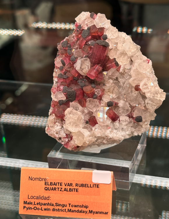 Capture d’écran 2023-10-26 à 07.47.34.png