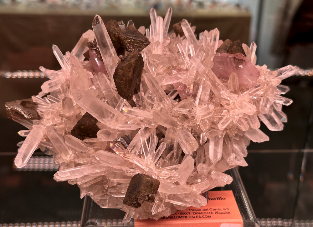 Capture d’écran 2023-10-26 à 07.49.05.png