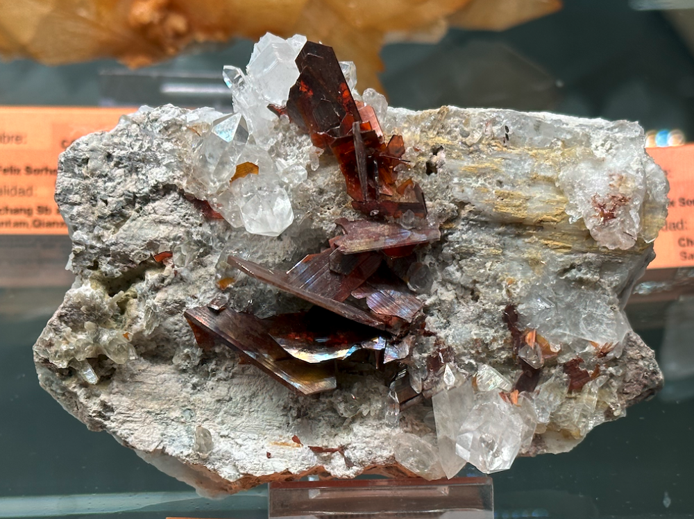 Capture d’écran 2023-10-26 à 07.50.57.png