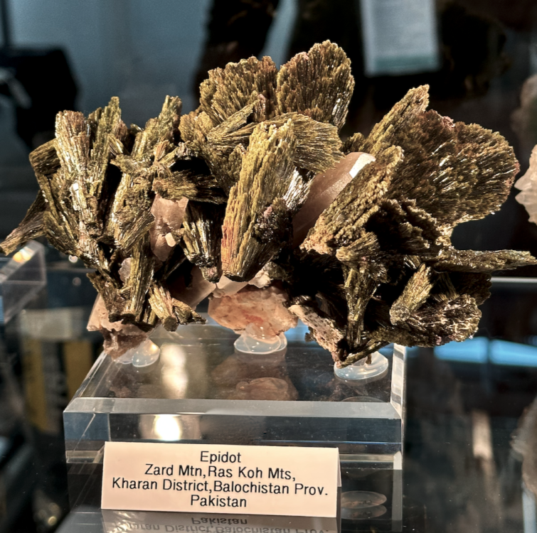 Capture d’écran 2023-10-26 à 07.56.41.png