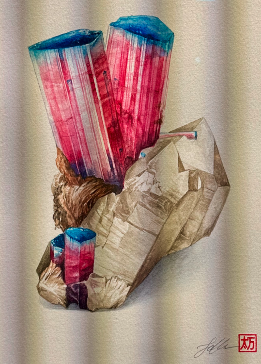 Capture d’écran 2023-10-27 à 08.28.47.png