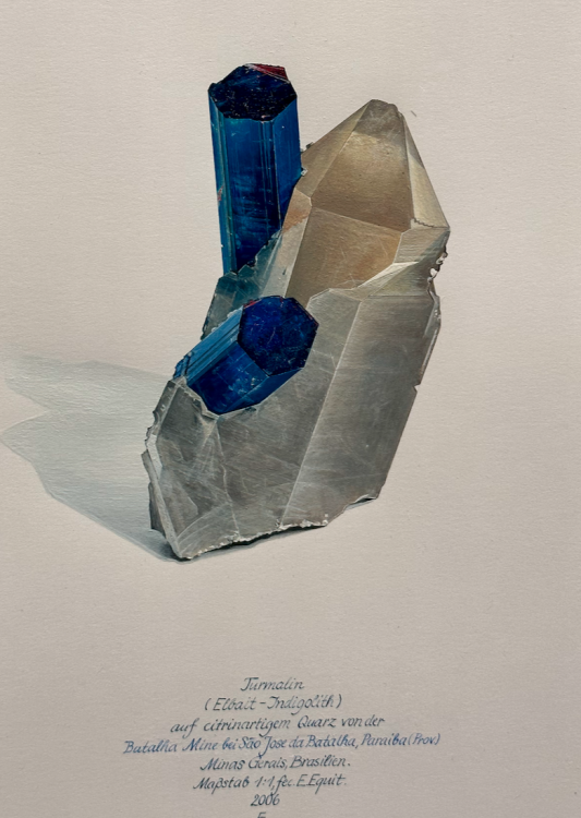 Capture d’écran 2023-10-27 à 08.29.25.png