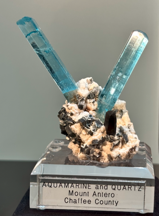 Capture d’écran 2023-10-27 à 08.32.42.png