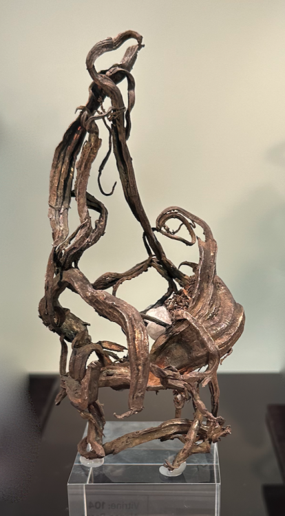 Capture d’écran 2023-10-27 à 08.34.55.png