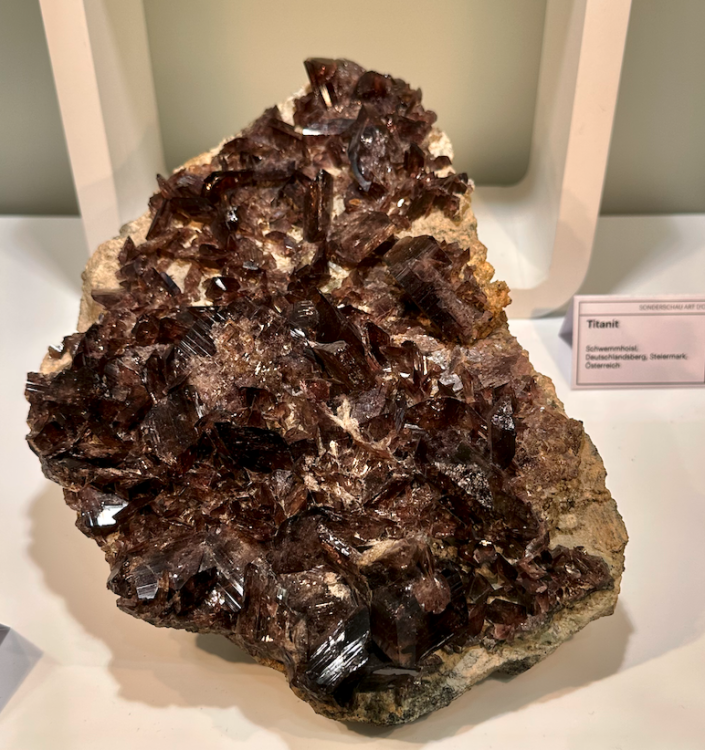 Capture d’écran 2023-10-27 à 08.36.38.png