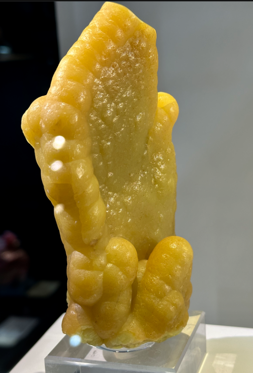 Capture d’écran 2023-10-29 à 12.39.08.png