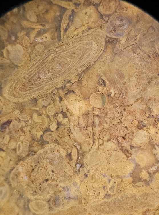 Deuxième performance.jpg