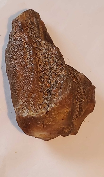 E 2023-7-15 14-55-23.jpg