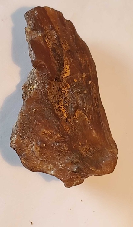 F 2023-7-15 14-56-24.jpg