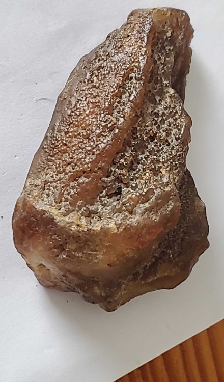 G 2023-7-15 15-0-22.jpg