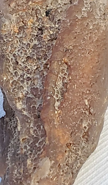 H 2023-7-14 19-38-36.jpg