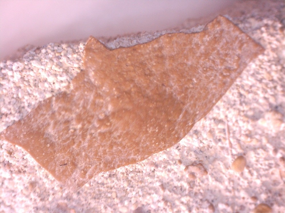 Montaigu-le-Blin 2.jpg