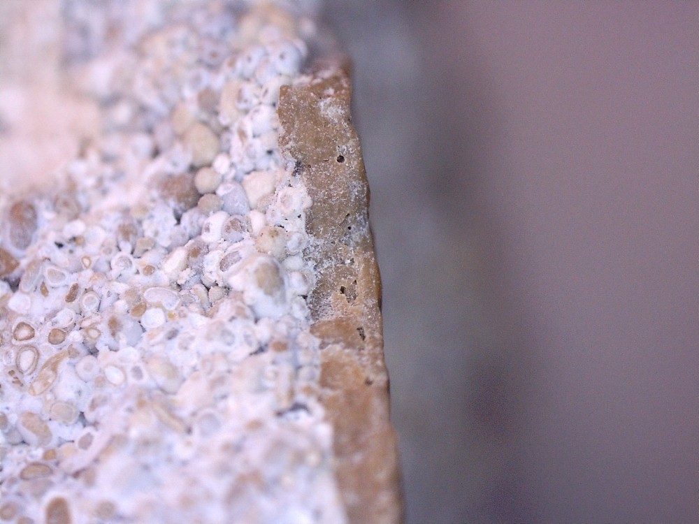 Montaigu-le-Blin 2 coupe 1.jpg