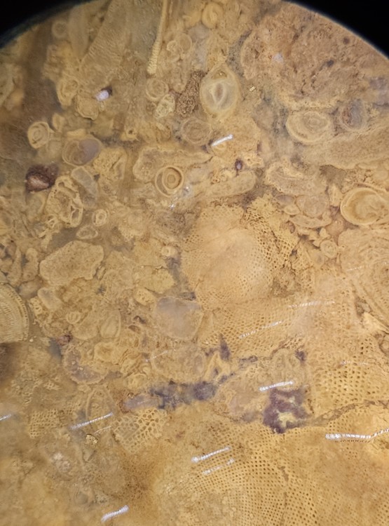 Troisième essai.jpg