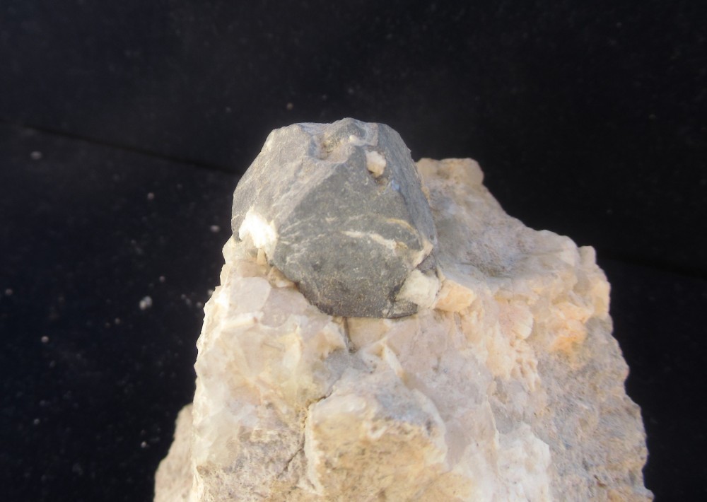 glene durfort 23.JPG