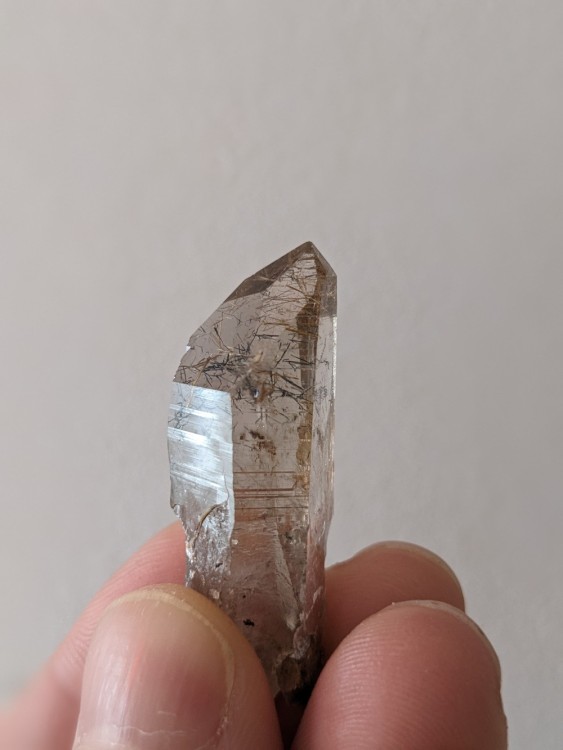 quartz_rutile_1_reduit.thumb.jpg.fac745c10ac387a23aa26c311b2aaef7.jpg