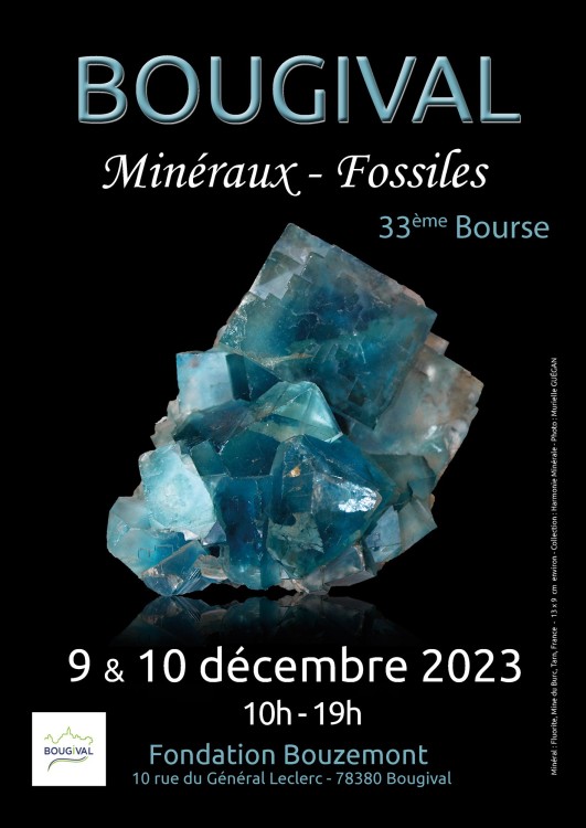 Affiche-FINALE-2023-A4-pour-web.jpg