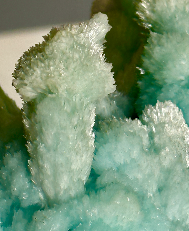 Capture d’écran 2023-10-31 à 15.14.27.png