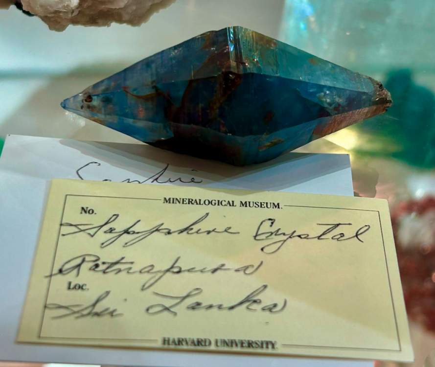 Capture d’écran 2023-11-05 à 18.54.19.png