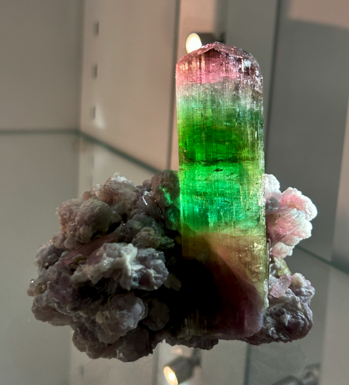 Capture d’écran 2023-11-05 à 18.54.44.png