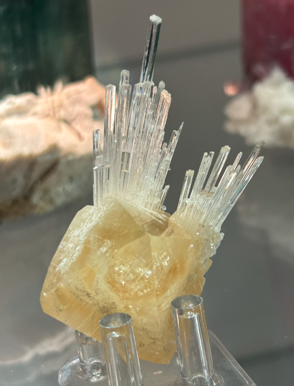 Capture d’écran 2023-11-05 à 18.55.19.png