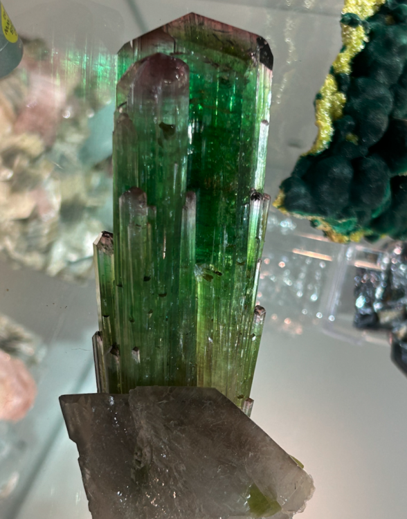 Capture d’écran 2023-11-05 à 18.56.32.png