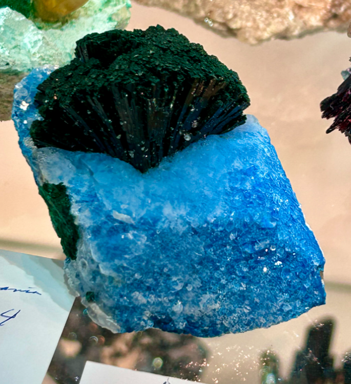 Capture d’écran 2023-11-06 à 15.45.48.png