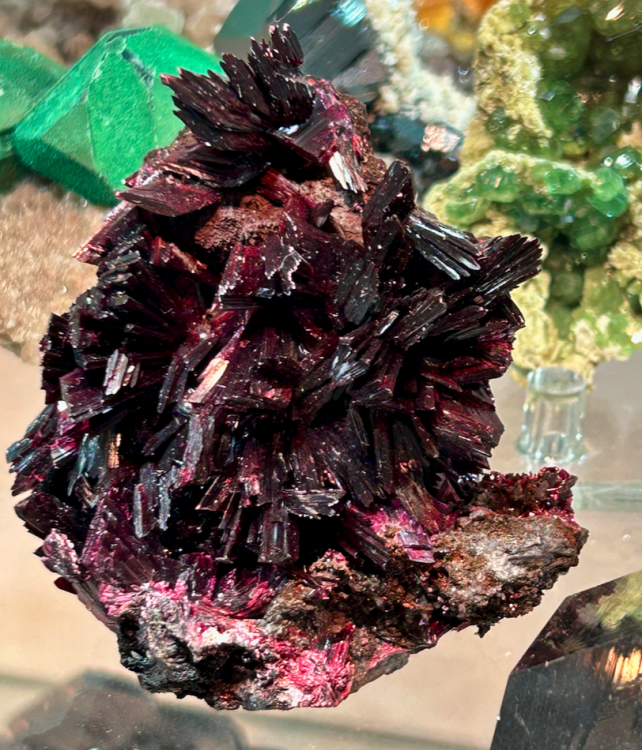 Capture d’écran 2023-11-06 à 15.46.05.png