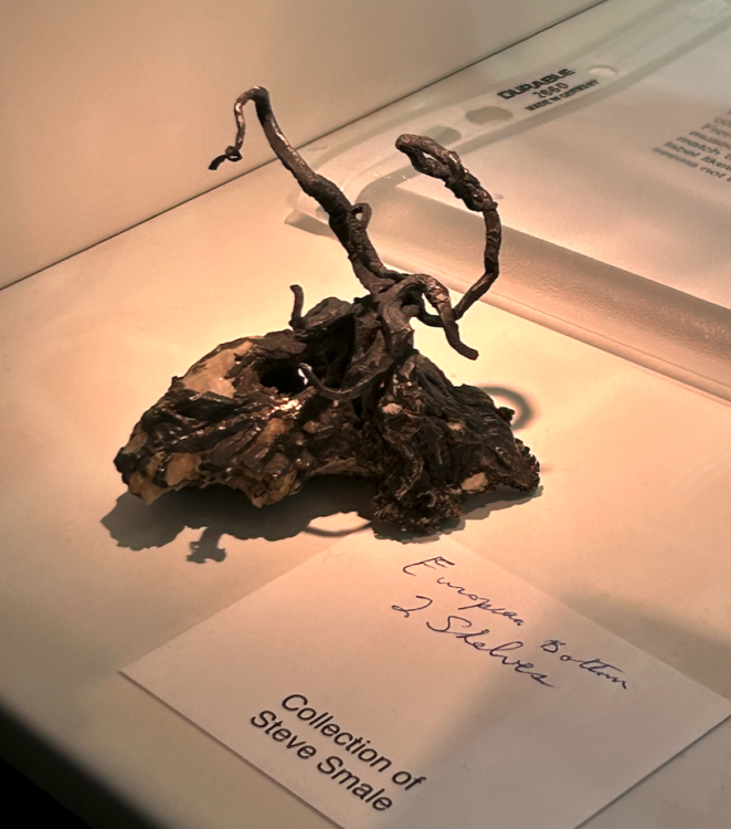 Capture d’écran 2023-11-07 à 14.54.17.png