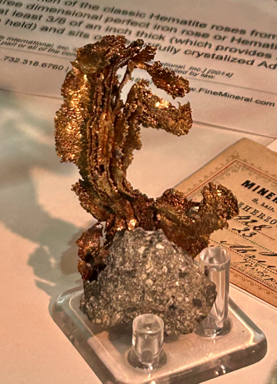 Capture d’écran 2023-11-07 à 14.54.46.png