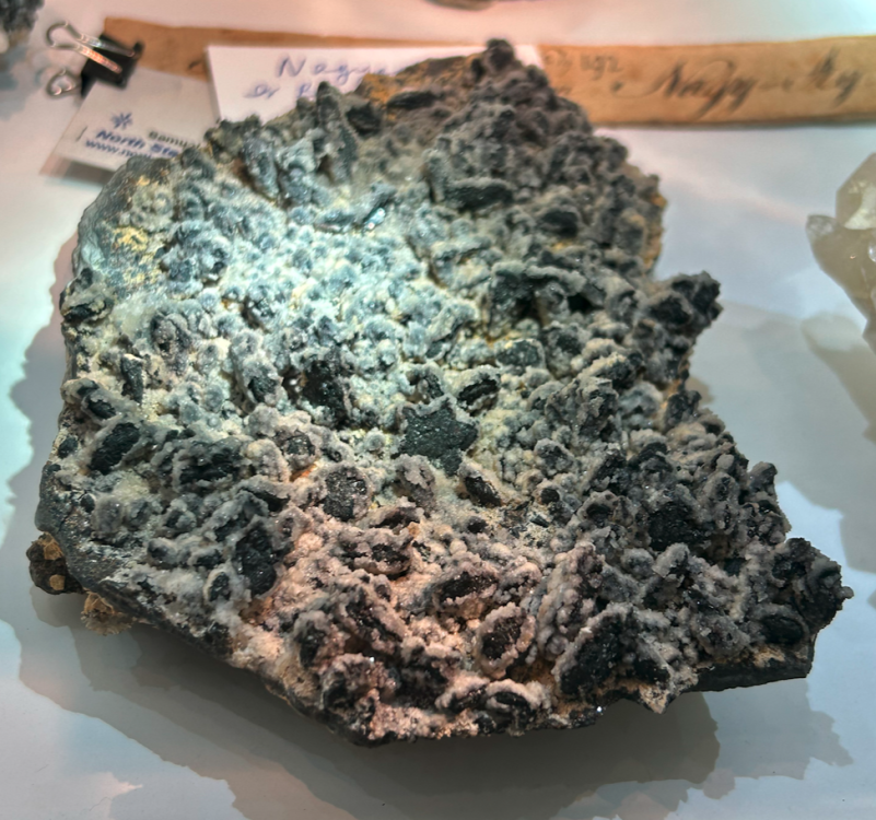 Capture d’écran 2023-11-07 à 14.55.36.png