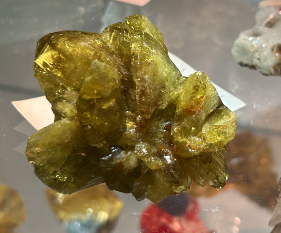 Capture d’écran 2023-11-07 à 14.55.54.png