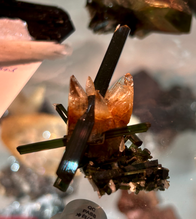 Capture d’écran 2023-11-07 à 14.56.35.png