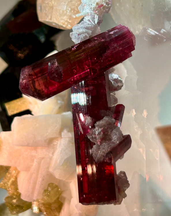 Capture d’écran 2023-11-07 à 14.57.01.png