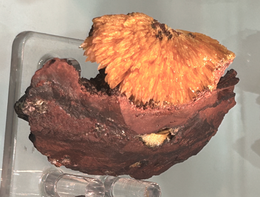 Capture d’écran 2023-11-08 à 17.03.40.png