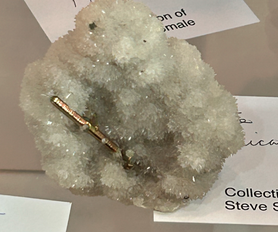 Capture d’écran 2023-11-08 à 17.04.26.png