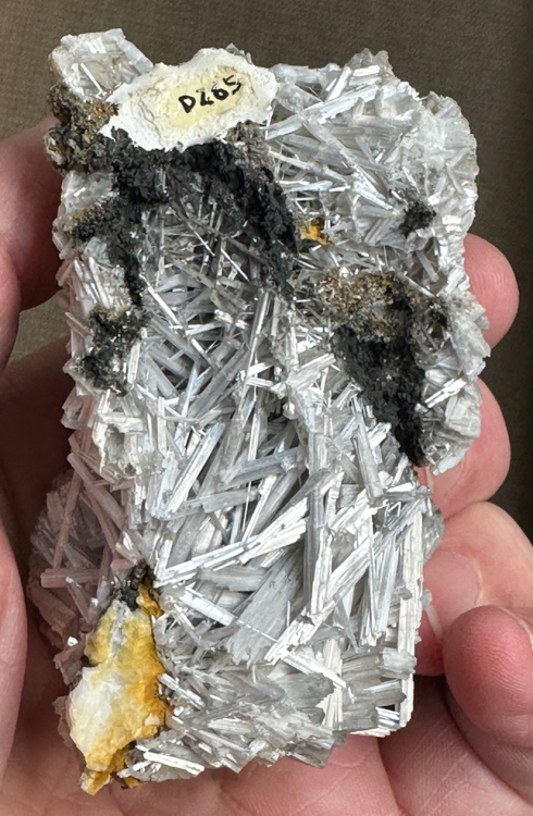 Capture d’écran 2023-11-19 à 18.11.17.png