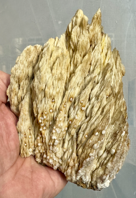 Capture d’écran 2023-11-19 à 19.14.20.png